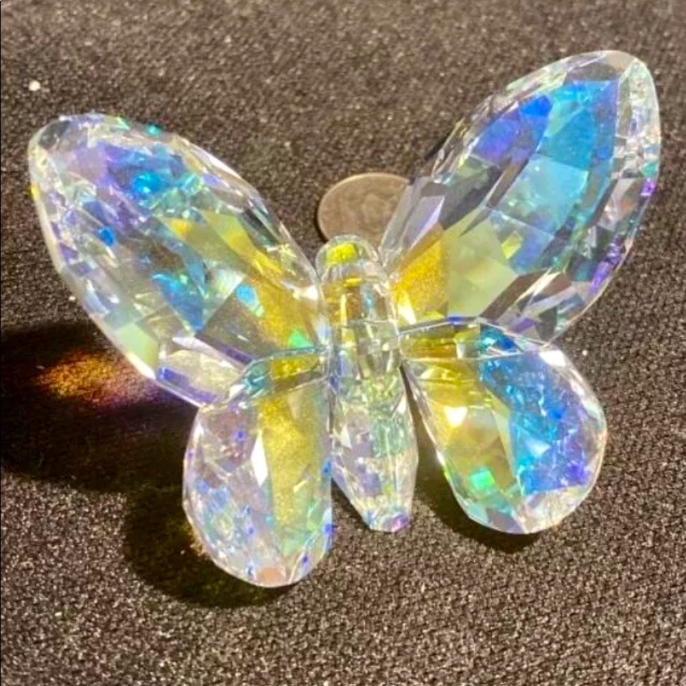 ISO looking for an butterfly 🦋